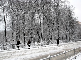 Snowy road in winter Park