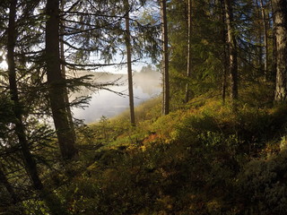 Obraz premium Sunset in Norway 2