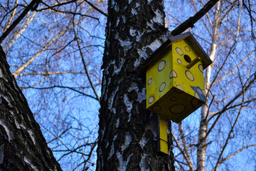 Colorful birdhouse on the tree. Nesting box.