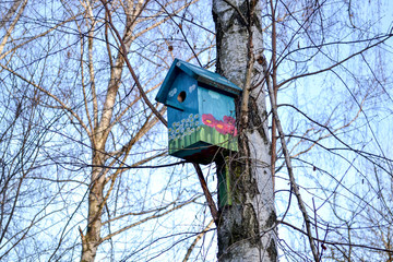 Colorful birdhouse on the tree. Nesting box.