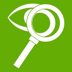 Magnifying glass with eye icon green
