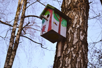 Colorful birdhouse on the tree. Nesting box.
