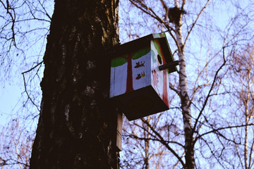 Colorful birdhouse on the tree. Nesting box.