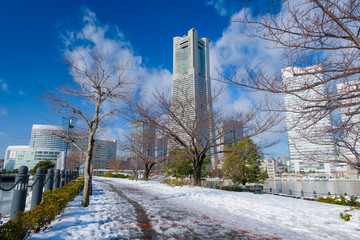 積雪 横浜 みなとみらい