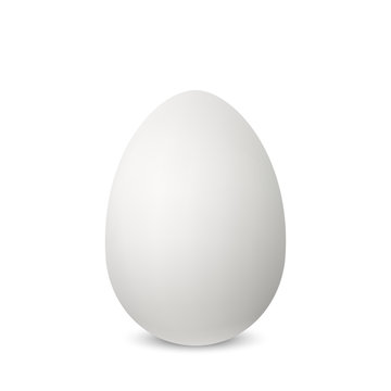Vector white single realistic animal egg.