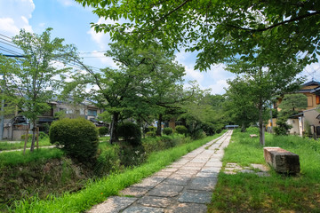 京都市 哲学の道