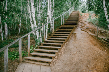 large wooden staircase in the forest. Stairs up the hill, wooden steps. Up the stairs.