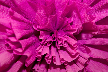 Paper artificial flower purple. Background Abstract flowers decoration. 