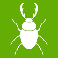Stag beetle icon green