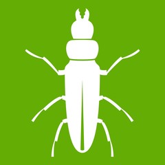 Beetle insect icon green
