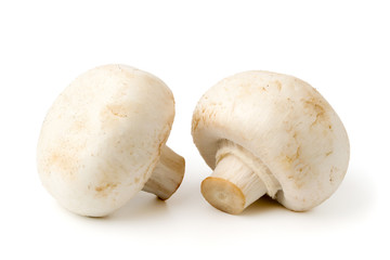 Two champignon on a white, isolated.