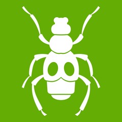 Beetle insect icon green