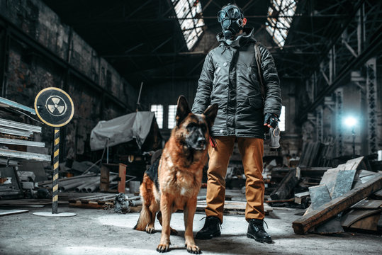 Stalker in gas mask and dog in radioactive zone