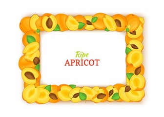 Horizontal rectangle frame composed of delicious apricot fruit. Vector card illustration. Apricot, peach frame frame for packaging design food, juice, jam, ice cream, smoothies, detox, cosmetics cream