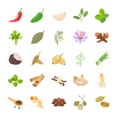 Herbs & Spices color vector icons