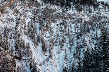 Winterlandschaft