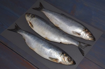  three fresh herrings. herring
