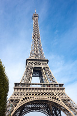 Fototapeta premium The Eiffel Tower in Paris