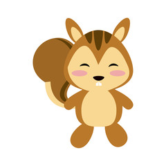 Cute squirrel cartoon icon vector illustration graphic design