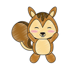 Cute squirrel cartoon icon vector illustration graphic design