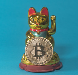 Cat inviting wealth in the form of bitcoins of coins