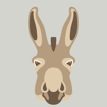 donkey   face vector illustration flat style  front