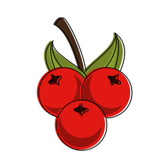 Plums fruits isolated icon vector illustration graphic design