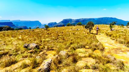 Woman walking to  viewpoint at the Blyde River Canyon along the Panorama Route in Mpumalanga...