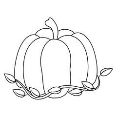 Pumpkin fresh vegetable icon vector illustration graphic design