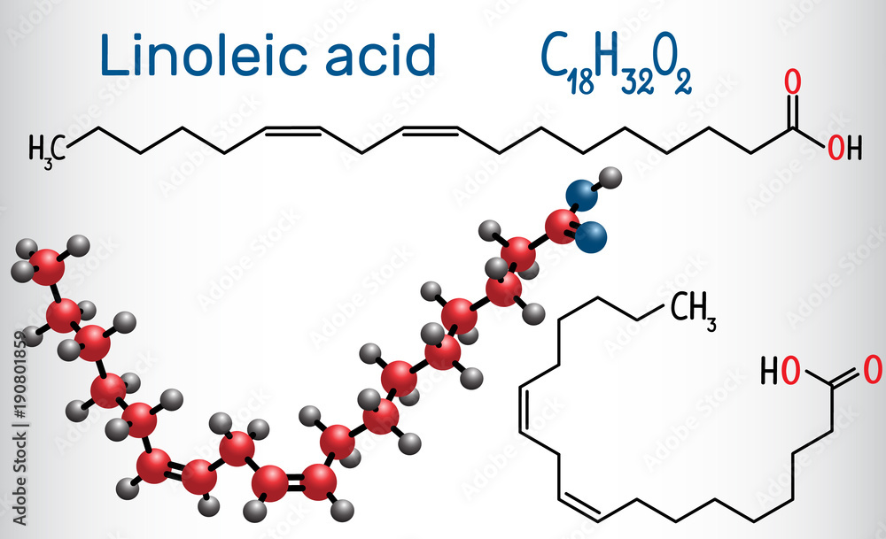 Poster Linoleic acid (LA). Structural chemical formula and molecule model