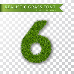 Grass number six. Green number six, isolated on white transparent background. Green grass 3D 6, fresh symbol of nature, plant lawn, summer. Grass texture spring font. Eco design. Vector illustration