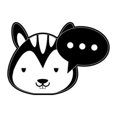 Cute skunk cartoon icon vector illustration graphic design