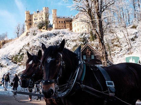 Hohenschwangau 