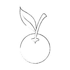 Plum fruit isolated icon vector illustration graphic design