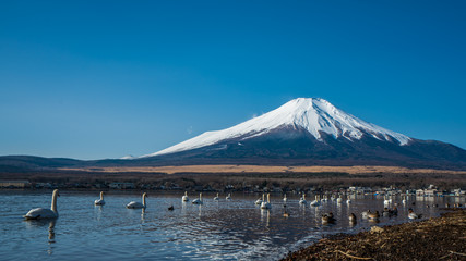 Fototapeta na wymiar Fuji Mountain Scenery ; Japan, January 18, 2018 
