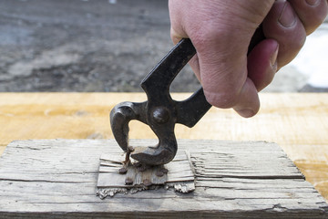 A man's hand pulls a nail with pliers.