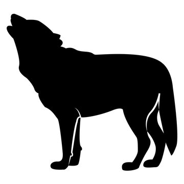 Vector image of silhouette of a wolf waving on a white background