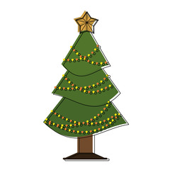 Christmas tree pine icon vector illustration graphic design