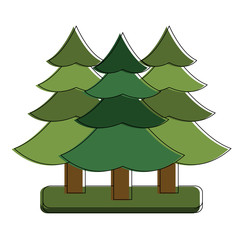 Tree pines symbol icon vector illustration graphic design