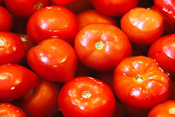 Closeup of various tomatoes being washed in water
