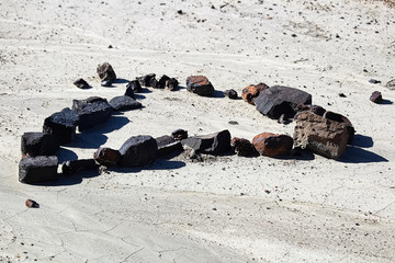 A set of rocks in the shape of a heart in the dried mud