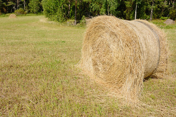 Harvesting. Bale of hay in autumn. Aland Islands, Finland