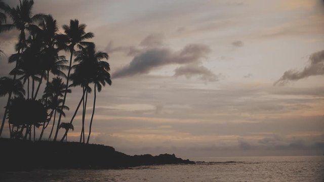 Iconic establishing shot of a Maui beach at sunset