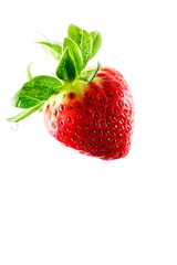 Erdbeere vor weiß