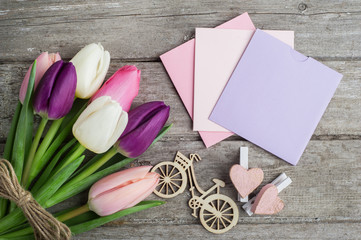 Colorful tulip flowers, frames