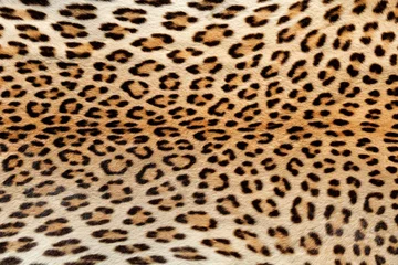 Foto op Canvas Vergrote weergave van de huid van een luipaard (Panthera pardus). © EcoView