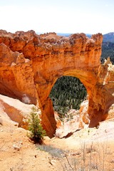 rock formations from Bryce Canyon National Park Utah