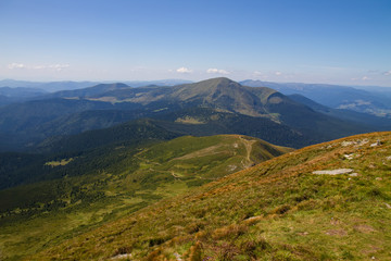 Fototapeta premium mountain nature forest