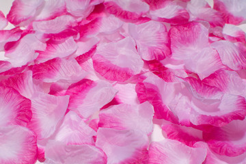 Rose petals
