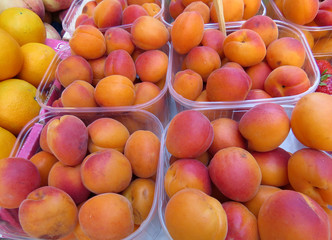 Containers of apricots